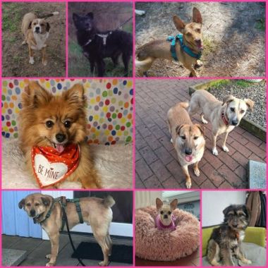 Porzellan- und Weinstadt Meißen